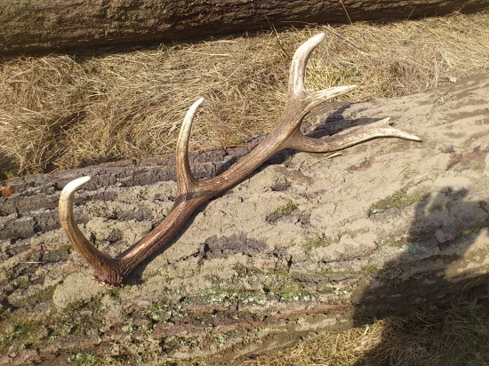 bude s neho niiečo ?