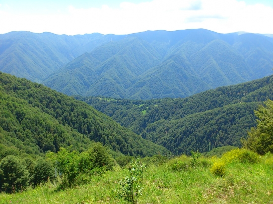 Rumunske karpaty v okoli Sibiu