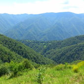 Rumunske karpaty v okoli Sibiu