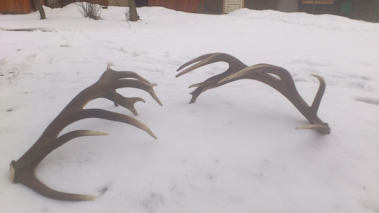 dalši dvadsaťtorak,tentoraz cela para