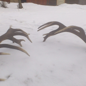 dalši dvadsaťtorak,tentoraz cela para