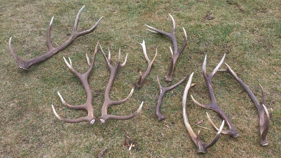 nedelna vychadzka dvoch zhodarov