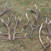 nedelna vychadzka dvoch zhodarov