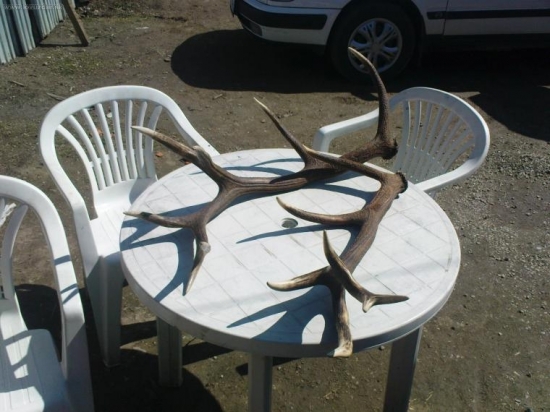 vedla seba aneni to para!