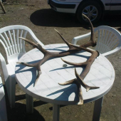 vedla seba aneni to para!