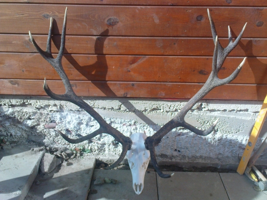 čo myslite kolko ma bodov? 1