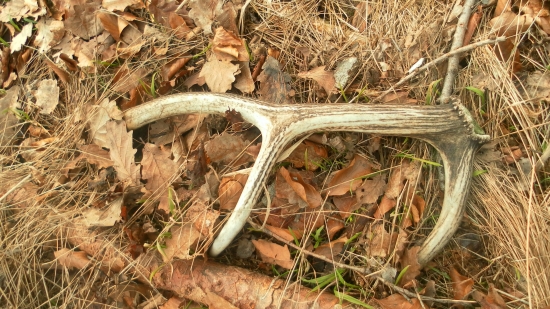 Takto ma tam dnes čakal - len škoda že starý