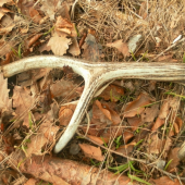 Takto ma tam dnes čakal - len škoda že starý