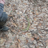 Ten tam dlho ležal.