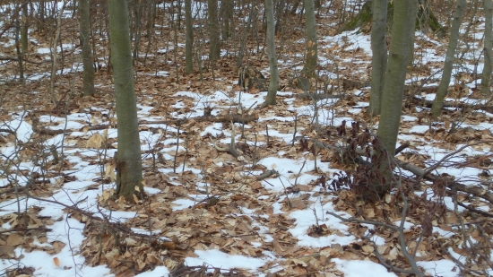 Môj druhý v sezóne 2011