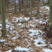 Môj druhý v sezóne 2011