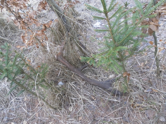 konečne som sa dočkal :-)