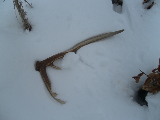 Prvý pohľad je vždy najkrajší