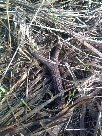 včera sa mi zase pošťastilo