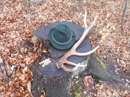 na potulkách za jeleňmi