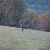 prišiel ma pozdraviť