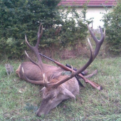 ruja 2008 otcov na 60tku