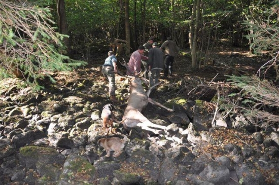 ...ešte kúsok na cestu