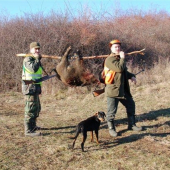 ešte šťastie že len prasa
