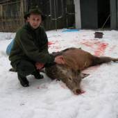 môj karpaťák z humenného a sprievodca