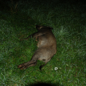 v sobotu večer sme sa konečne stretli