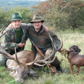 Jeleň ID 80694 ešte raz