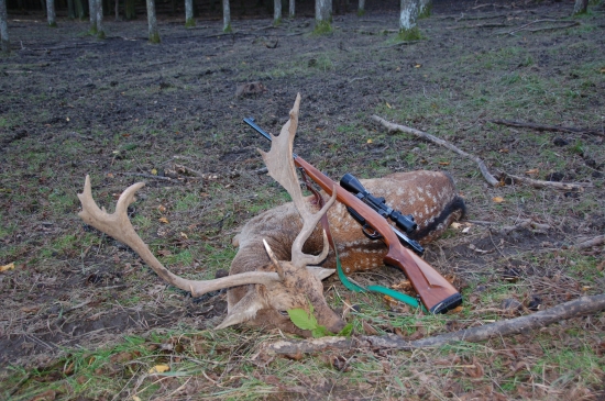 môj prvý a narodeninový