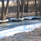 to len príroda dokáže