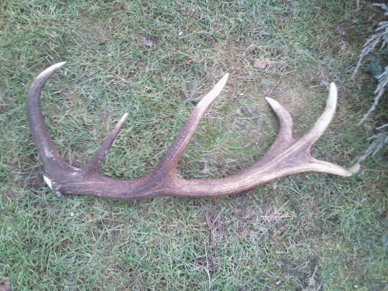 včera minuloročný štrnastorak