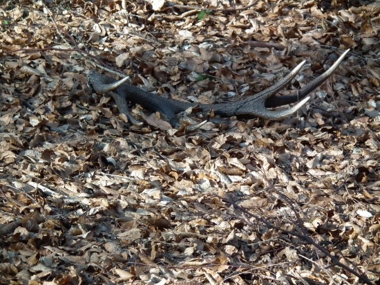 dvanastorak-iny pohlad