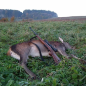 aj holu treba loviť