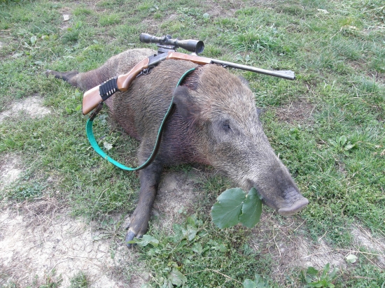 dnešné ráno