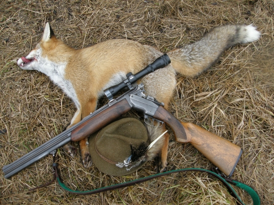 gulabrok pokrsteny prvy ulovok