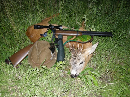 dvanástorák z Korytárky