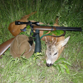 dvanástorák z Korytárky