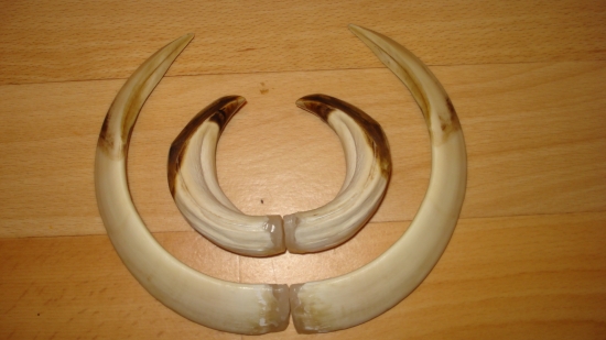 moj vianočny a najlepši...