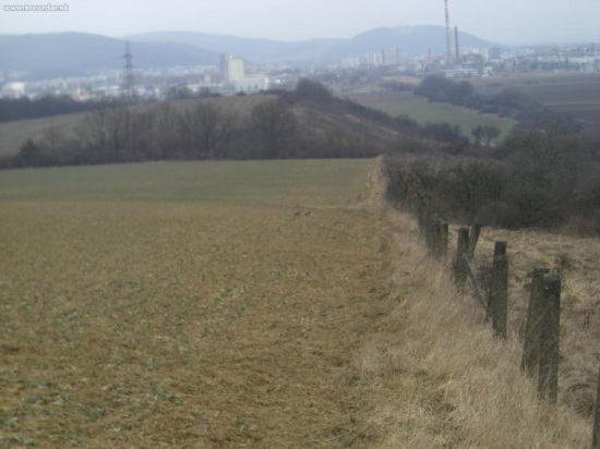 srni