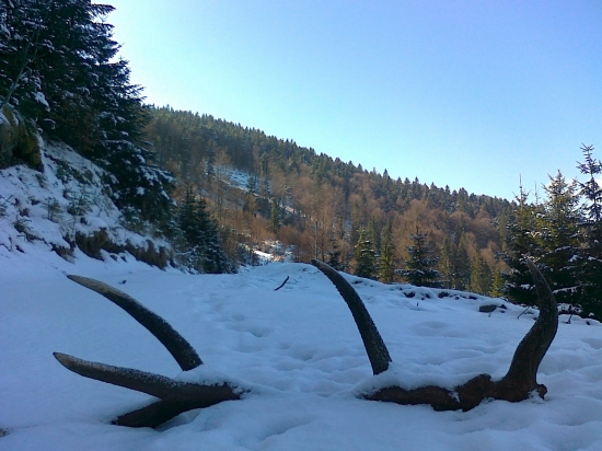 cestou - necestou, 3,90 kg