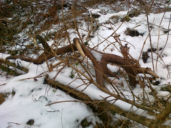 zlatý do páry zo včera, 4,25 kg