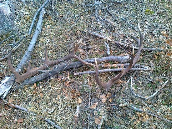 konečne nájdené na kope