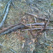 konečne nájdené na kope