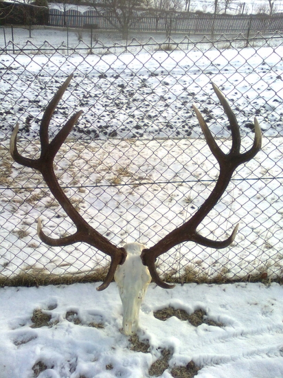 k ID: 146440, body 214,63 CIC