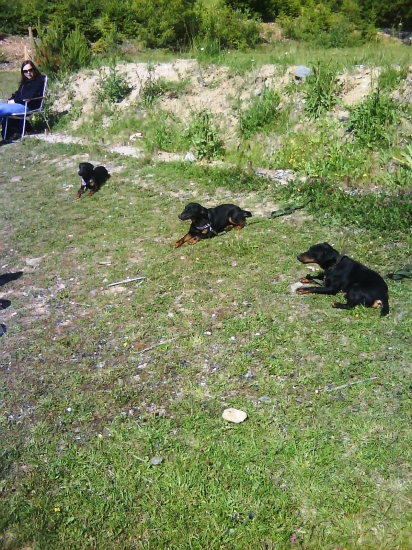 Naši Jagoši na výstave