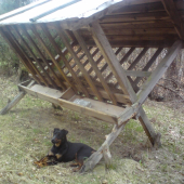 Vychádzka