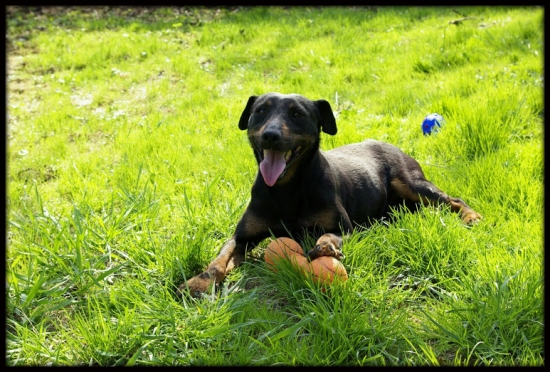 Na hračky nebude nikdy stará :D