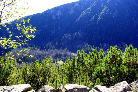 Vysoké Tatry :))
