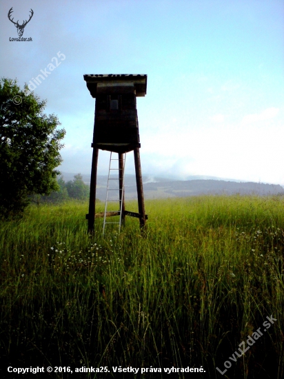Ráno v prírode