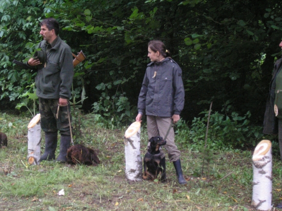 Lesné skúšky malých plemien