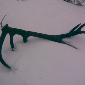 ešte sa nenašiel pár, škoda.