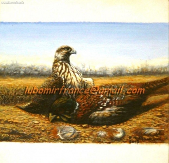 Sokol rároh na koristi. Akryl.